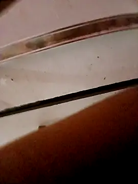 frotasso online show from October 2025 11:14:01 PM