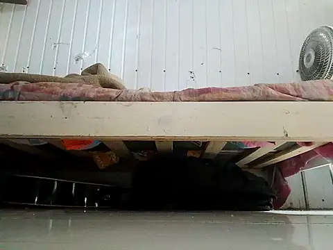 frotasso online show from February 2026 11:05:02 PM