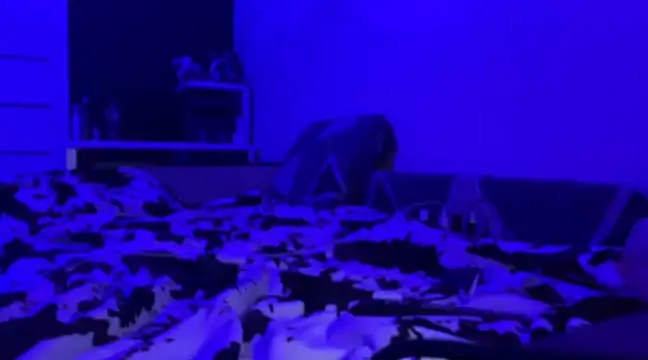 Princess Dianka online show from January 2025 12:15:02 PM