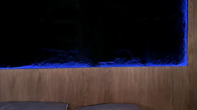 ArtemisaBlake online show from February 2025 09:37:02 PM