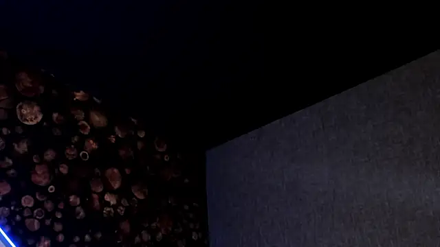 ArtemisaBlake online show from March 2025 07:48:02 PM