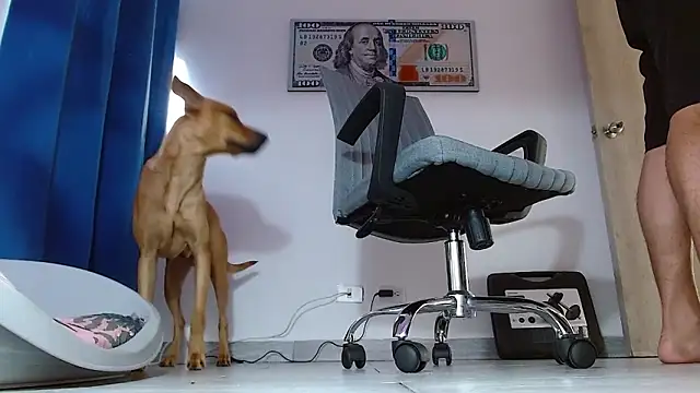 boss of cash online show from July 2026 12:05:02 PM