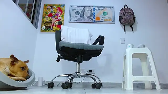boss of cash online show from July 2026 04:34:02 AM