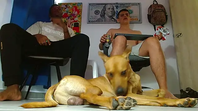 boss of cash online show from July 2026 06:25:02 PM