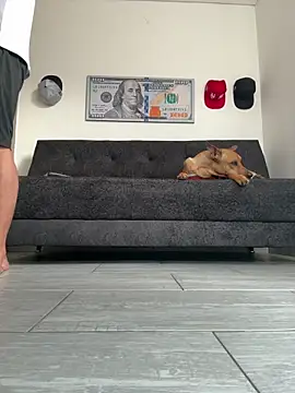 boss of cash online show from February 2026 12:16:01 PM