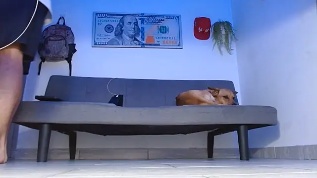 boss of cash online show from May 2026 12:07:02 AM