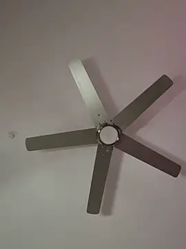 sophiamariexoxo240 online show from November 2025 02:48:01 AM