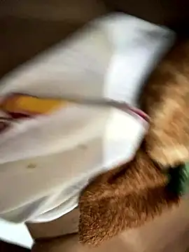 Snapshot of Gordelicia03 chatting on January 2026 04:35:02 PM Gordelicia03 online show from January 2026 04:35:02 PM