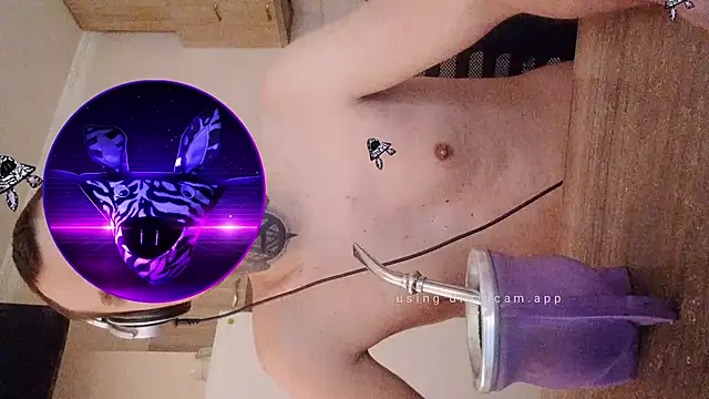 Snapshot of HappyZebra13 chatting on February 2025 12:55:01 PM HappyZebra13 online show from February 2025 12:55:01 PM