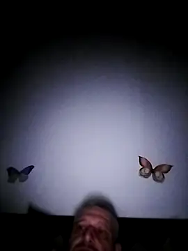 Husoban online show from November 2025 11:48:02 PM