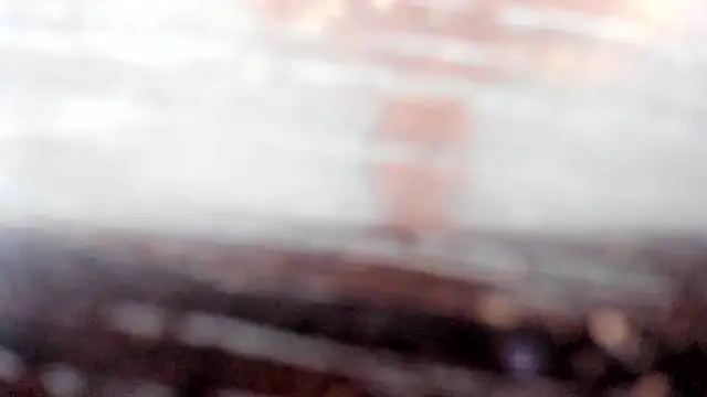 Snapshot of linda_rios_ chatting on February 2025 10:09:01 PM linda rios online show from February 2025 10:09:01 PM