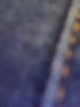 sasi luna online show from April 2026 02:23:01 PM