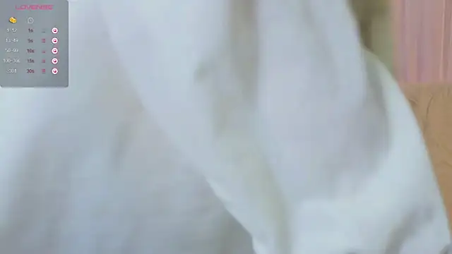 webstars  online show from December 2024 11:17:02 AM