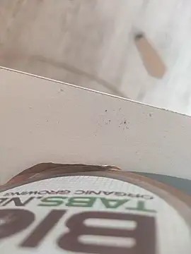 lunaxxxtreme online show from November 2025 12:22:01 PM