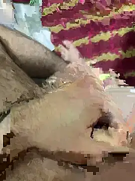 hamoo23p online show from December 2025 01:01:01 AM