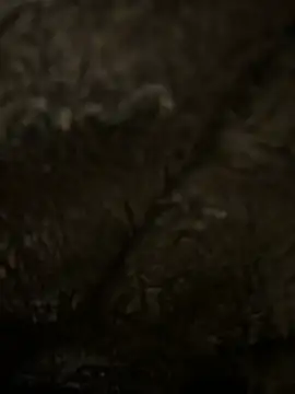 hamoo23p online show from February 2026 02:47:01 AM