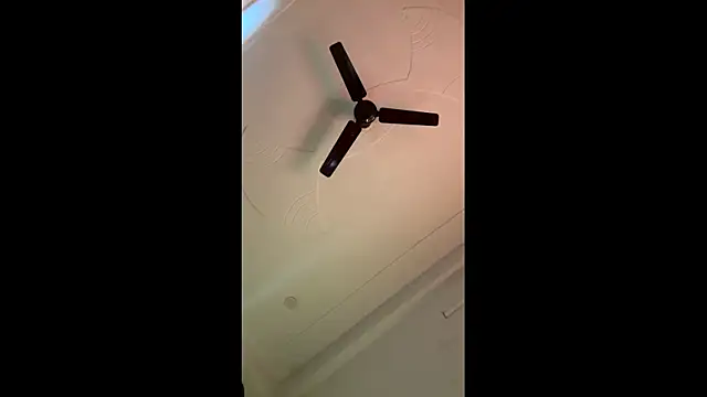 Lush puja online show from November 2025 07:01:02 AM