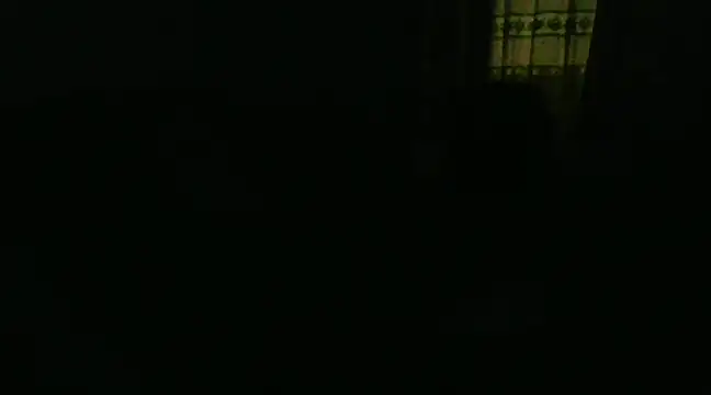 farock online show from December 2024 05:59:02 AM