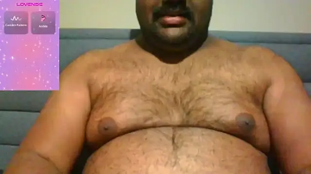 indianbearbot online show from November 2025 08:57:02 PM