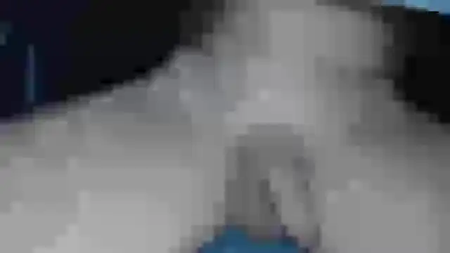 Snapshot of cs1512 chatting on February 2025 06:37:02 PM cs1512 online show from February 2025 06:37:02 PM