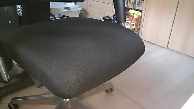 cs1512 online show from December 2025 11:25:02 AM