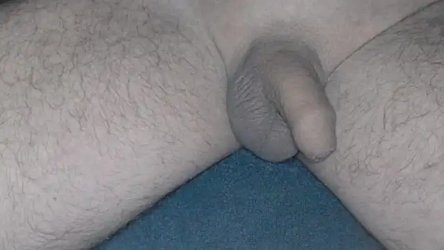 Snapshot of cs1512 chatting on February 2025 04:41:01 AM cs1512 online show from February 2025 04:41:01 AM