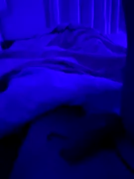 Fuss04 online show from October 2025 07:43:01 PM