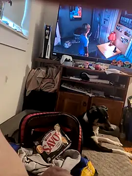 biggnipz online show from November 2025 05:34:01 AM