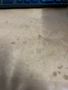 Hillz king 98 online show from January 2025 12:33:01 AM