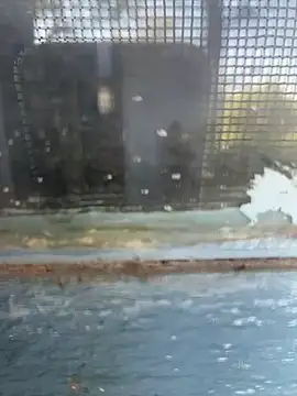 Hillz king 98 online show from February 2025 09:20:02 AM