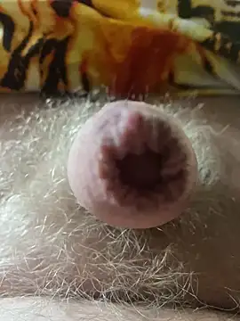 makedaddyhappy6 online show from March 2025 04:06:02 PM