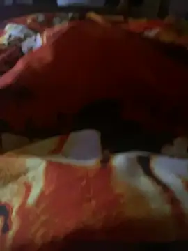 makedaddyhappy6 online show from January 2025 12:41:02 PM