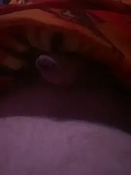 makedaddyhappy6 online show from January 2025 01:20:02 AM