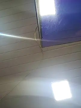 Snapshot of ppatriciarabello chatting on November 2025 03:56:02 PM ppatriciarabello online show from November 2025 03:56:02 PM