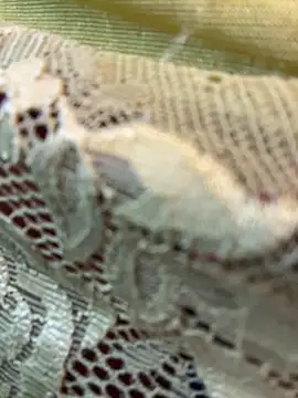 honeyboobies7249 online show from February 2026 07:37:01 PM