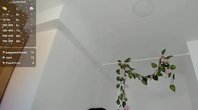 Snapshot of Ninna--1 chatting on January 2025 06:59:02 PM Ninna--1 online show from January 2025 06:59:02 PM