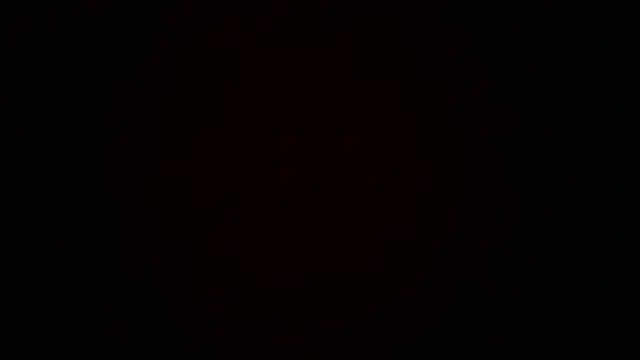 Snapshot of SilverandFox chatting on March 2025 03:09:01 PM SilverandFox online show from March 2025 03:09:01 PM