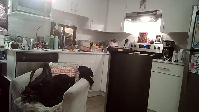 Snapshot of SilverandFox chatting on March 2025 11:44:02 AM SilverandFox online show from March 2025 11:44:02 AM