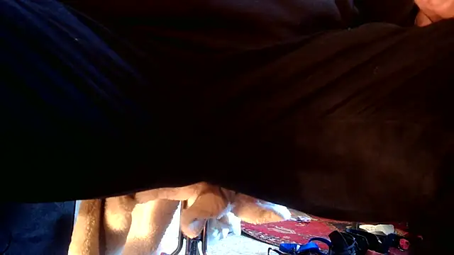 Snapshot of SilverandFox chatting on September 2025 05:45:02 PM SilverandFox online show from September 2025 05:45:02 PM