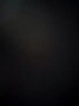 bidex002 online show from March 2025 10:33:02 AM