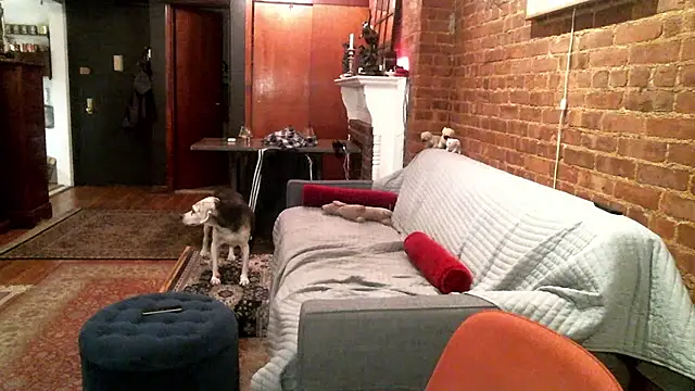 Johnny Bottoms online show from October 2025 10:19:01 PM