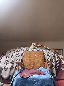 danitomii online show from March 2026 06:26:01 AM