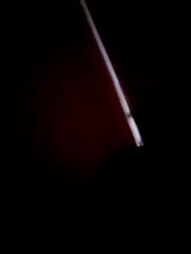 Soniya 444 online show from November 2025 09:08:01 AM