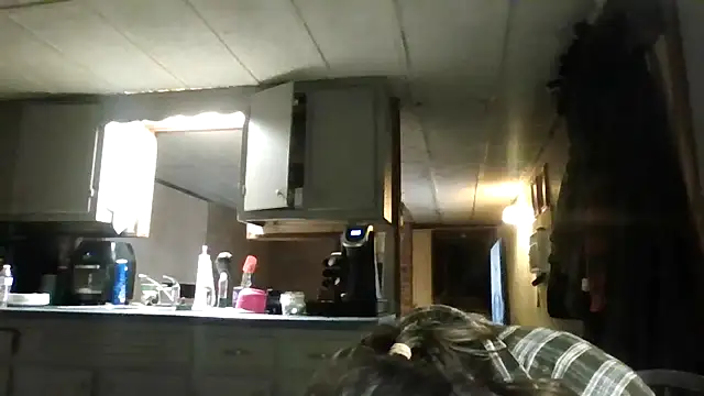 zaneporter46 online show from November 2025 11:14:01 AM