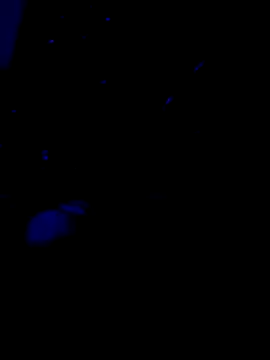 Amadass90 online show from February 2025 07:16:01 PM