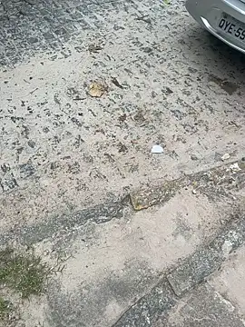 Casadadelicia26 online show from March 2026 07:25:01 PM