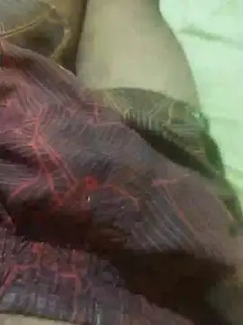 jarmesr7x online show from February 2025 03:18:02 AM