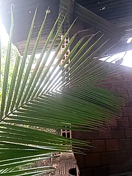 Andres123cv online show from December 2025 09:18:02 PM