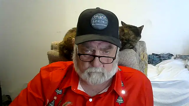 viejo oso online show from December 2025 10:37:01 PM