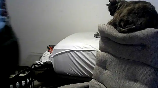 viejo oso online show from April 2026 03:24:01 AM